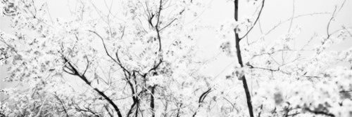 TheUltimateFam's profile banner image