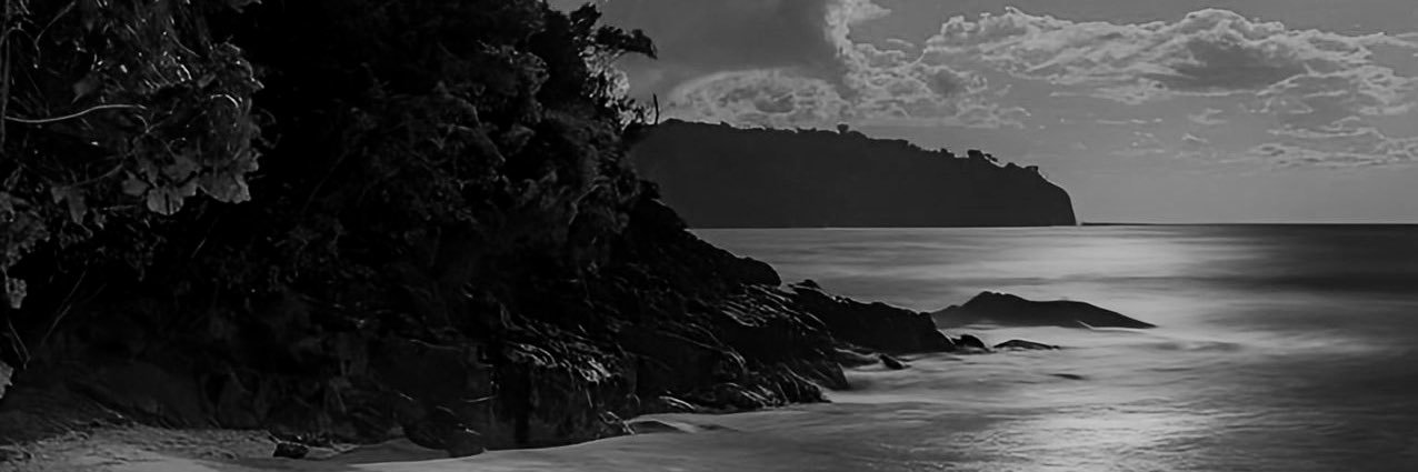 ASHEN banner