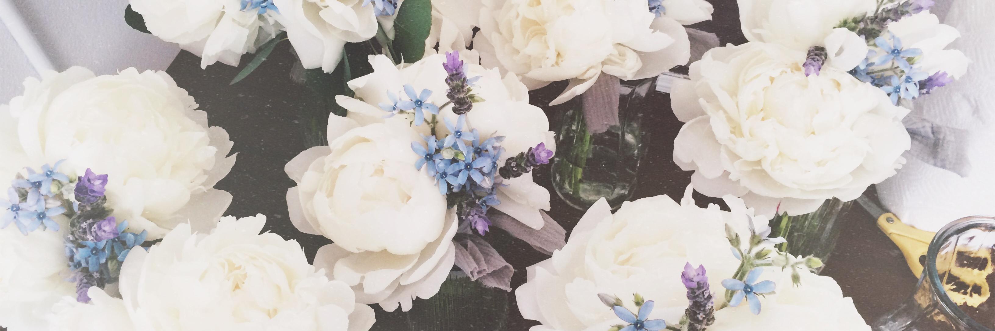 danireeves1's profile banner image