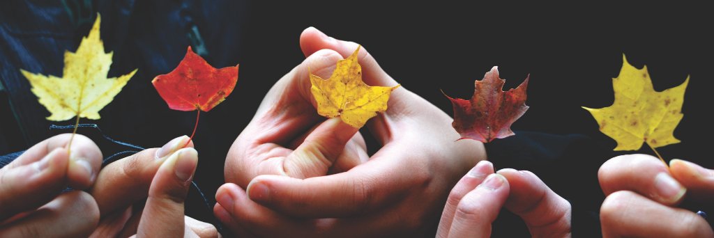 TurnOnCanada's profile banner image