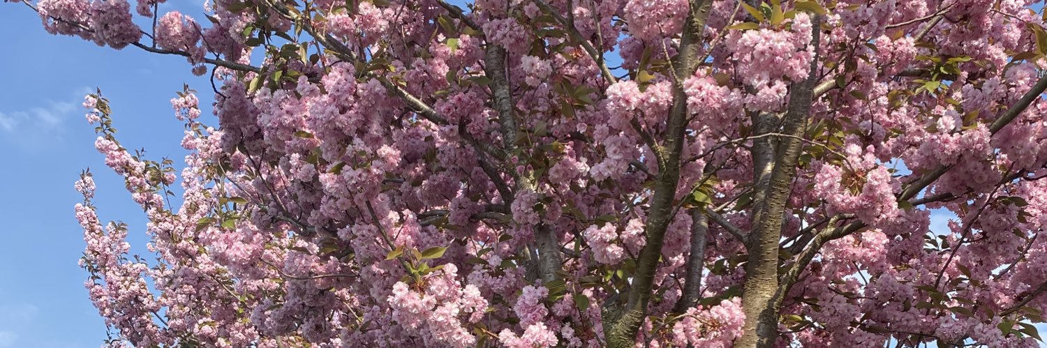 MayteRynders's profile banner image