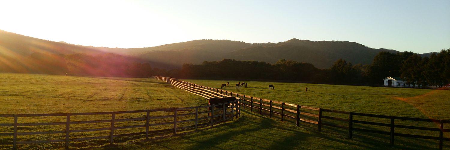 CaballoPa's profile banner image