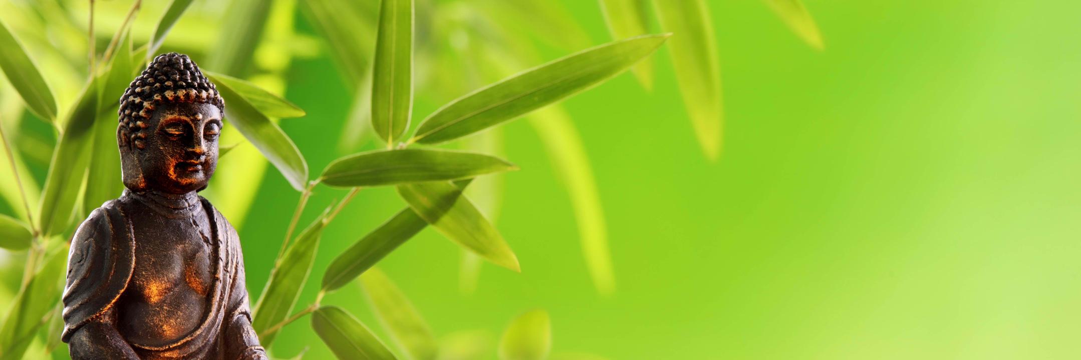 ping2Pradeep's profile banner image