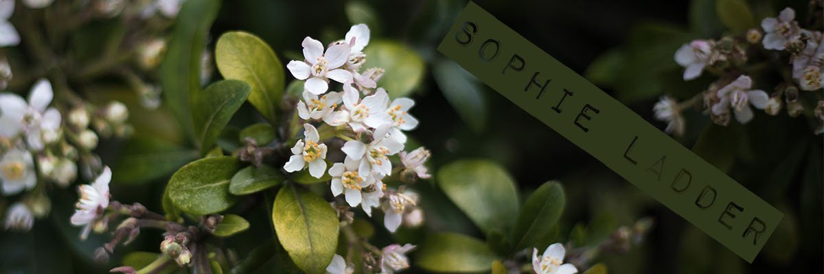 🌸 Sophie Ladder 🌸 🇵🇸 banner