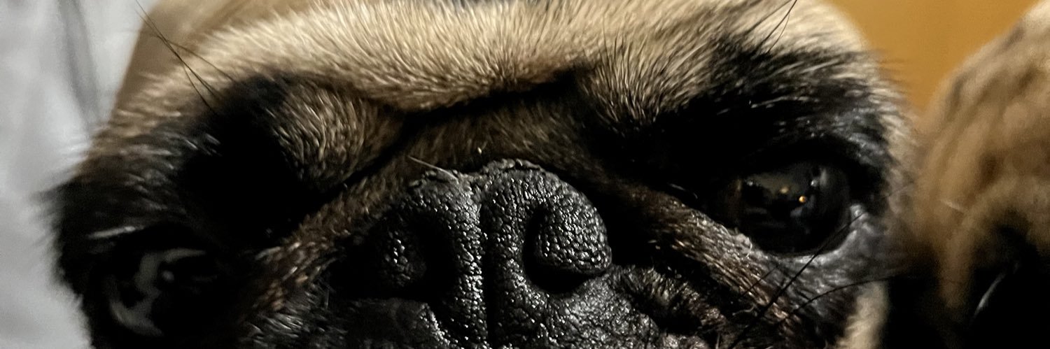 Drogay__'s profile banner image