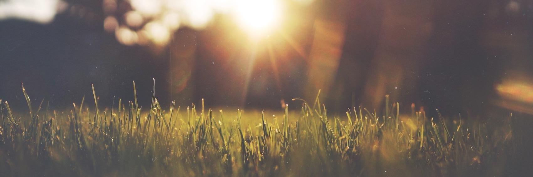 Green Spaces for DC banner