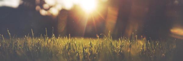 greenspacesdc Profile Banner