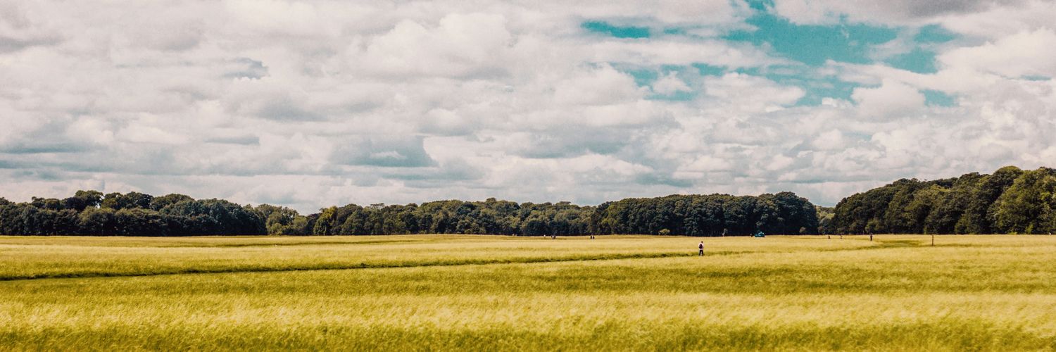 WichoFranco's profile banner image