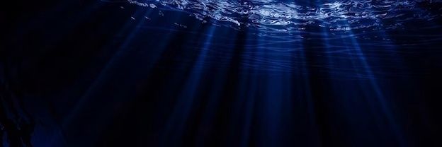 🐦‍⬛ banner
