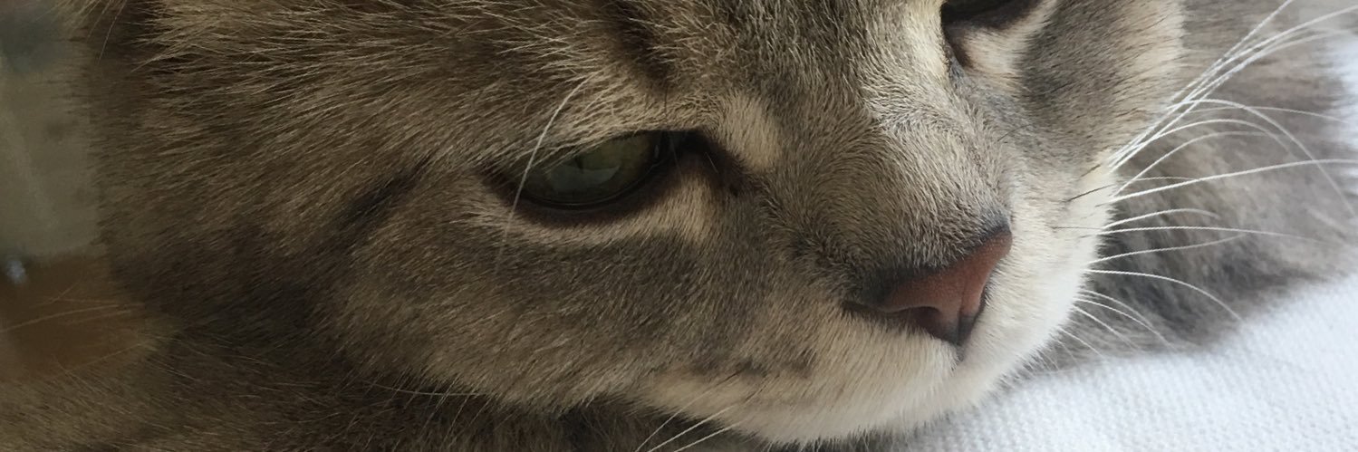serrbasmaci's profile banner image