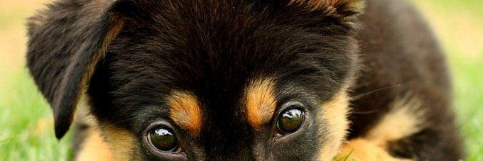 OIgnacy's profile banner image