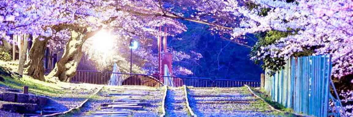 rinmaruta's profile banner image