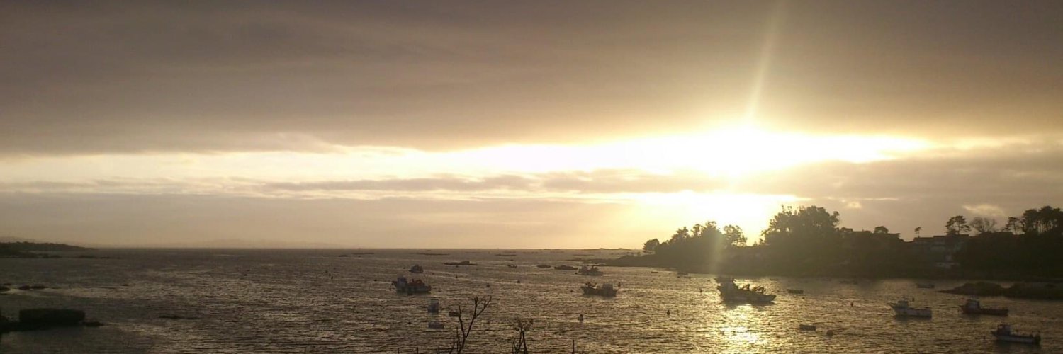 allorguez's profile banner image