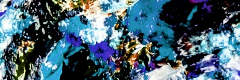 AgMidal2's profile banner image