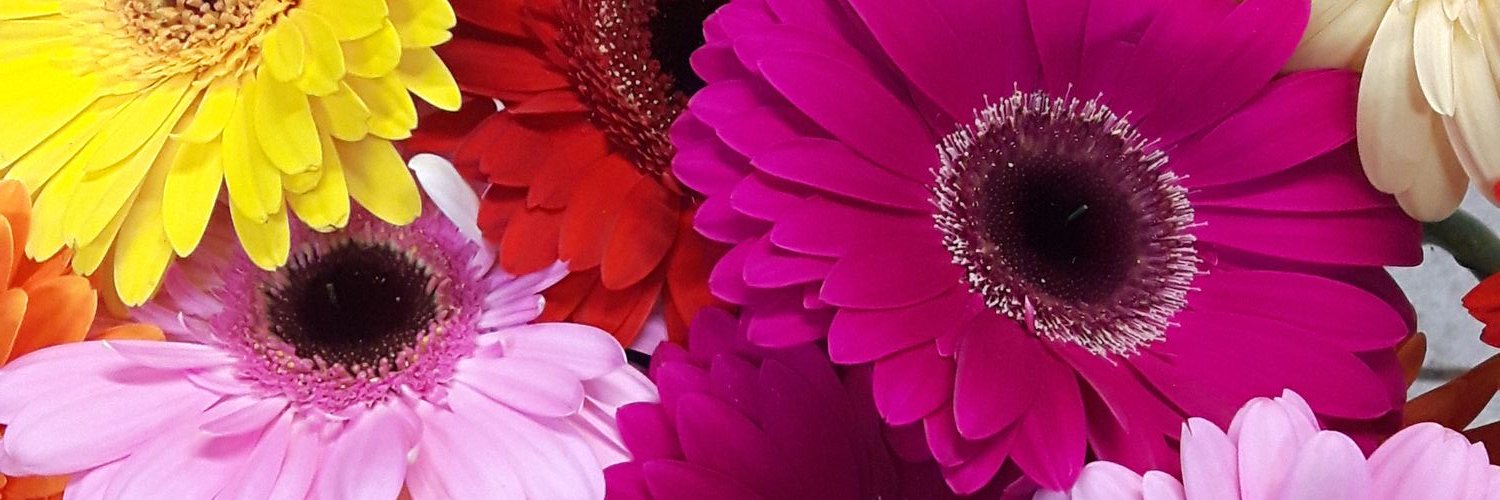 Juliette101104's profile banner image