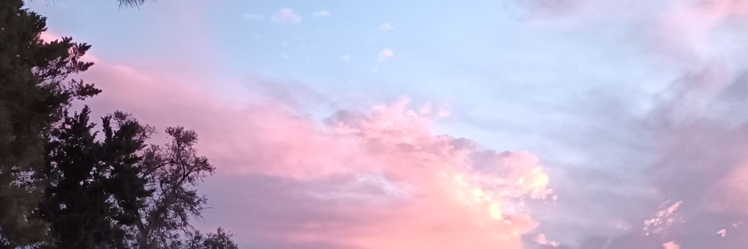 sofiaulla31's profile banner image