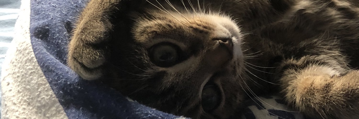 martincwithers's profile banner image
