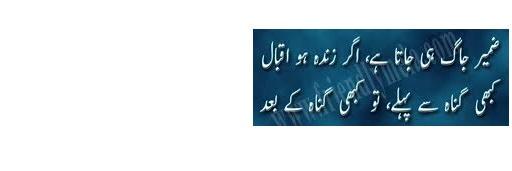 laang_zia's profile banner image