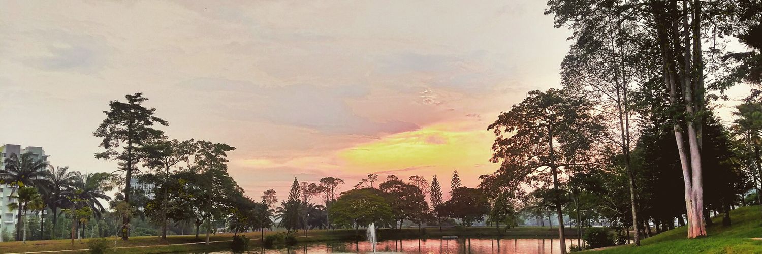 ningendesuka29's profile banner image
