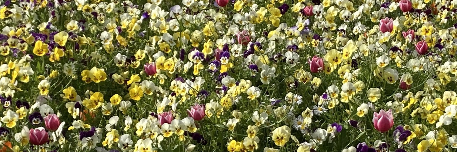 DrJustinBourke's profile banner image