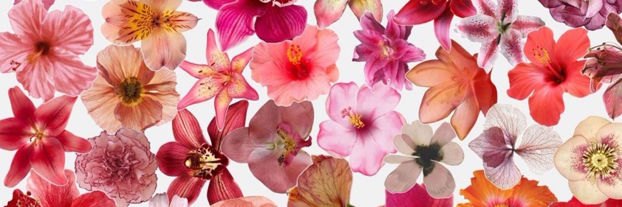 mido_2015677's profile banner image
