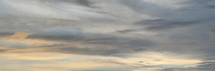 mary110120's profile banner image
