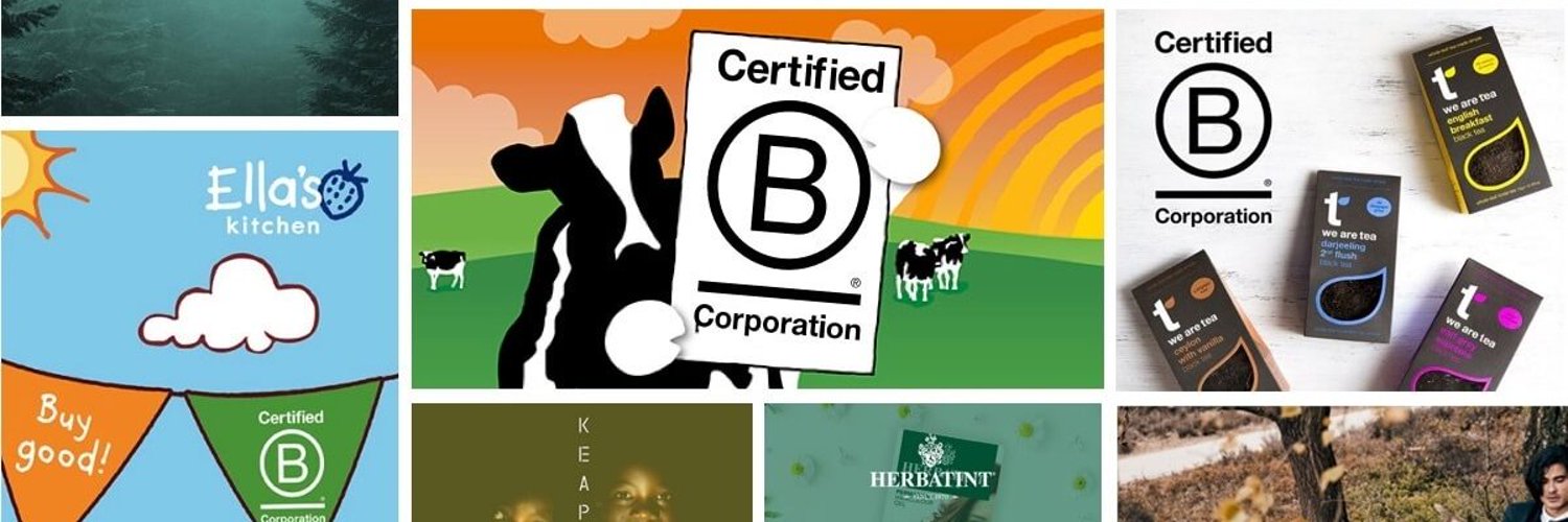 B Corp Community banner