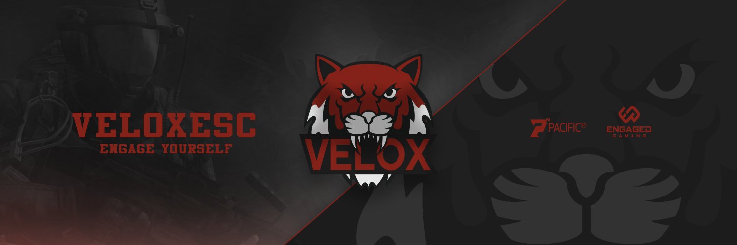 VeloxESC's profile banner image