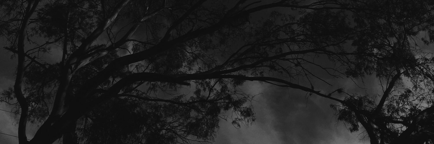 dkn6s's profile banner image