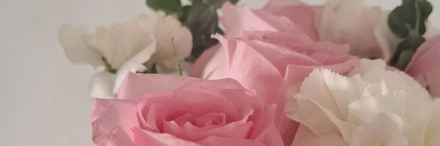 anissmg98's profile banner image