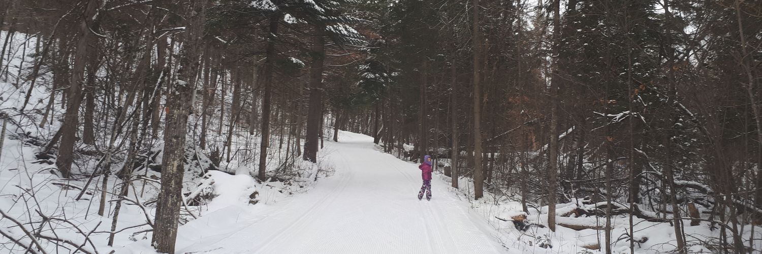 Rodrigo Sekkel banner