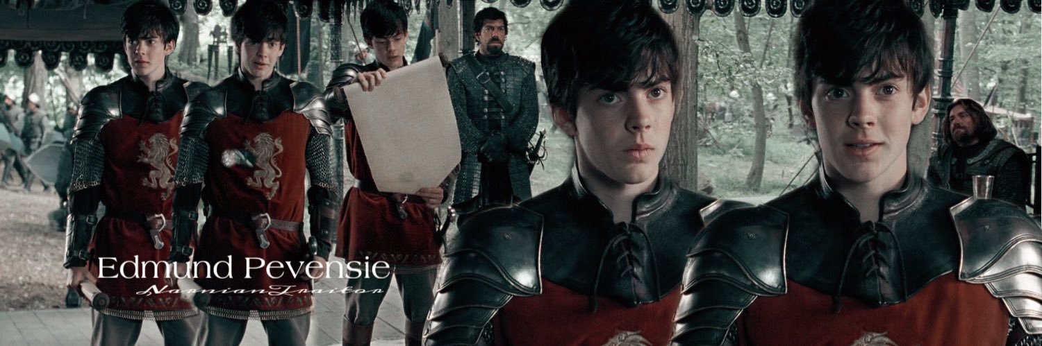 NarnianTraitor's profile banner image