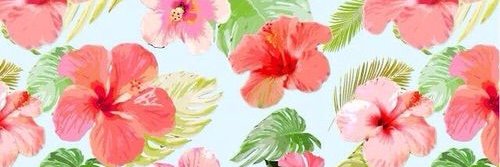 mermonteclaro's profile banner image