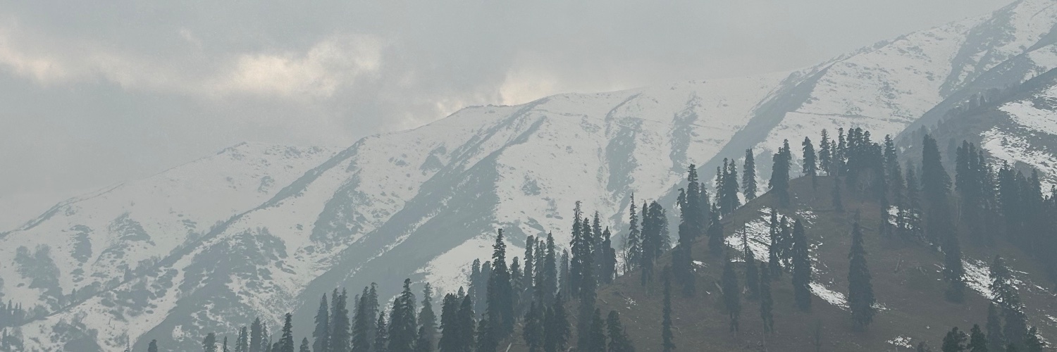 wewake banner