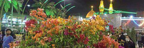 hanidaliraq's profile banner image