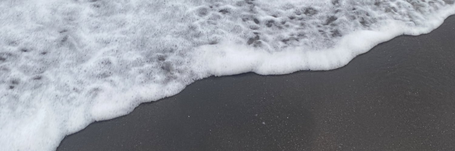 Gina Resti banner