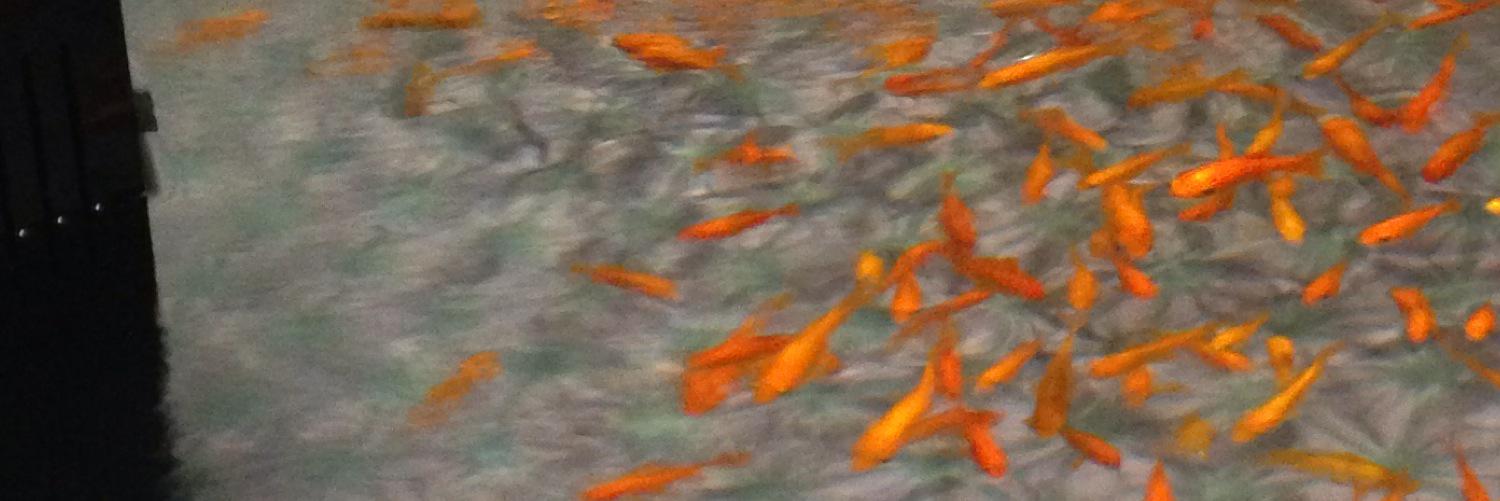 しの banner
