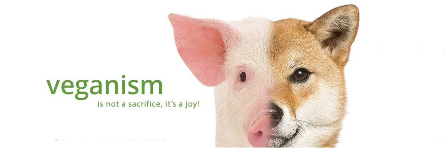 Vagenism's profile banner image