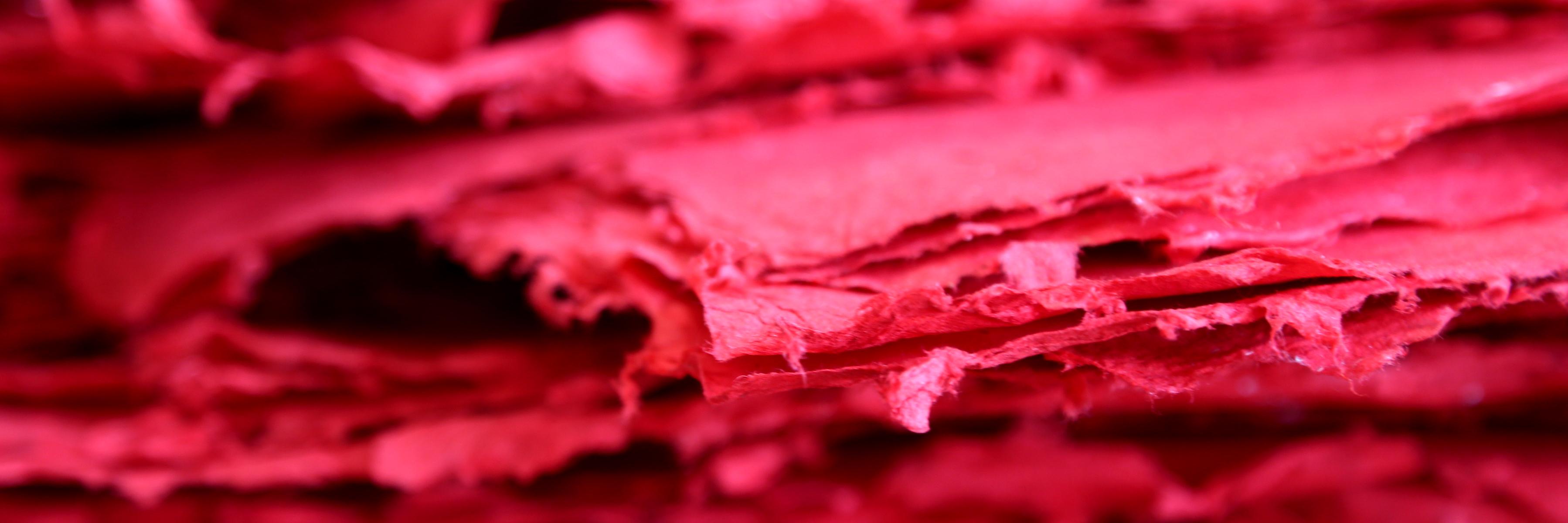 NishaBora's profile banner image
