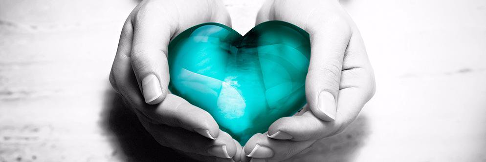 Healthnet Homecare banner