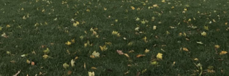 ShelbeaBrooke's profile banner image