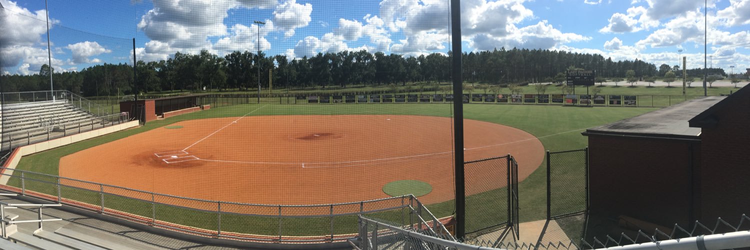 Lady Packer Softball banner