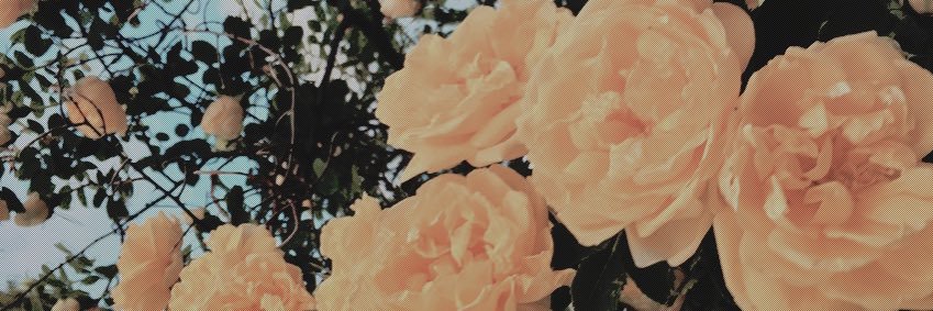 eemmx0's profile banner image