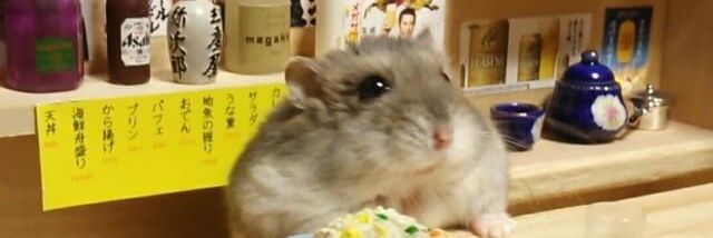 hamu_hamu007's profile banner image