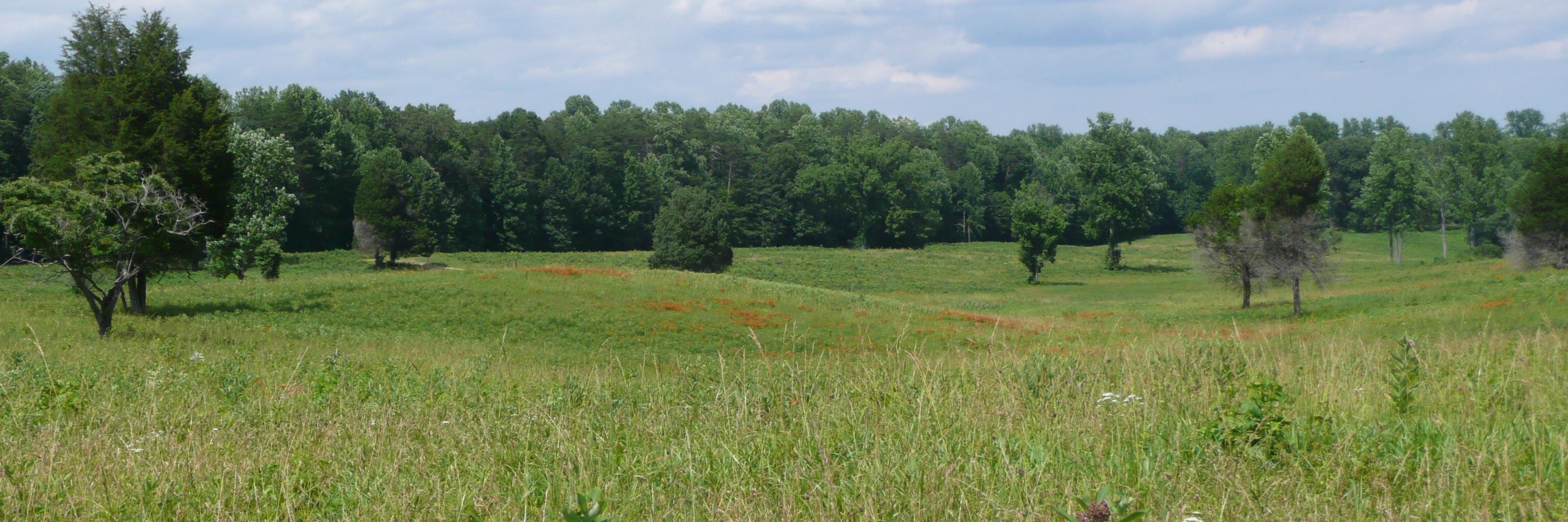 Dundore's profile banner image