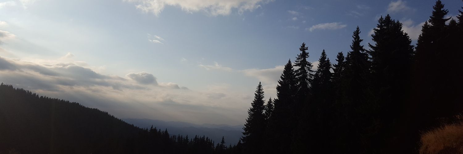 RuizPerezInes's profile banner image