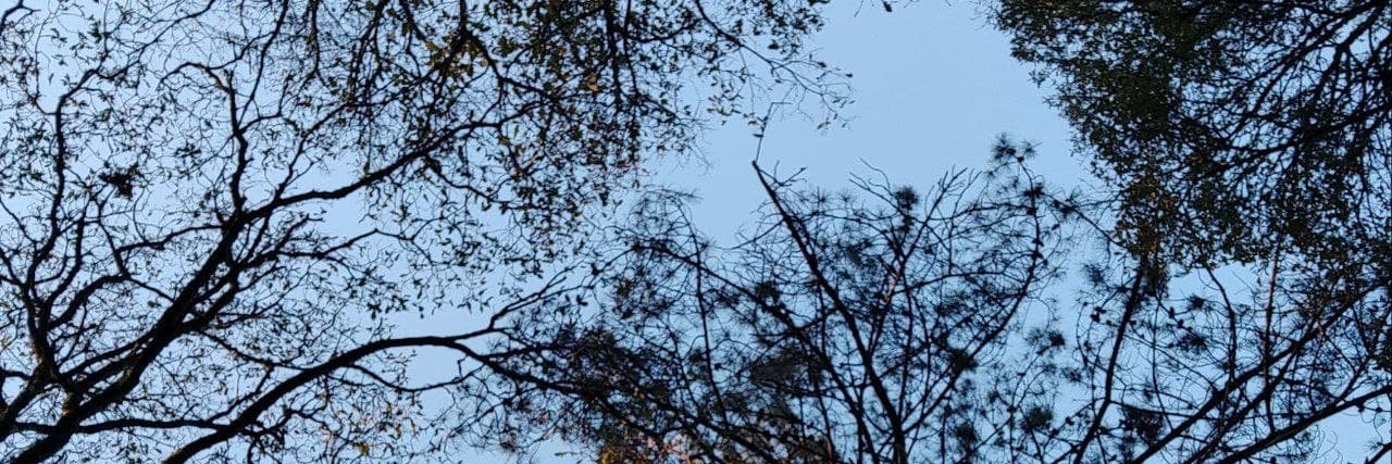 ruadasLucia's profile banner image