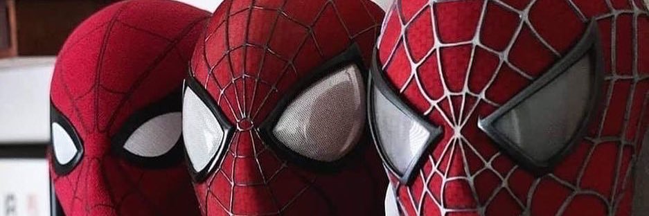 Rocha 🕸🕷 banner