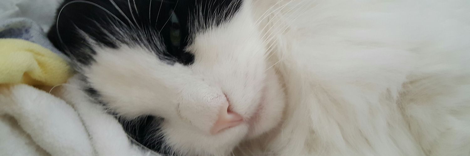 xHelloDie's profile banner image