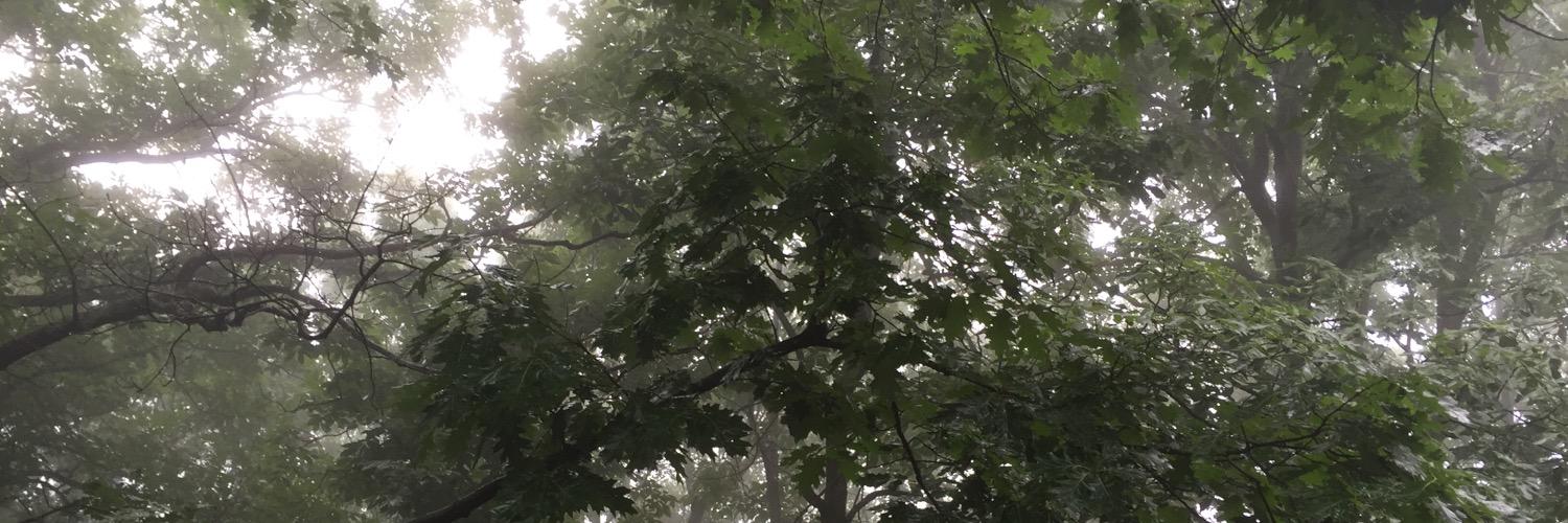 _johncook_'s profile banner image